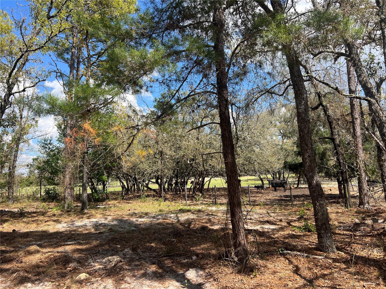 Image 7 of 29 For 16 136 Terrace