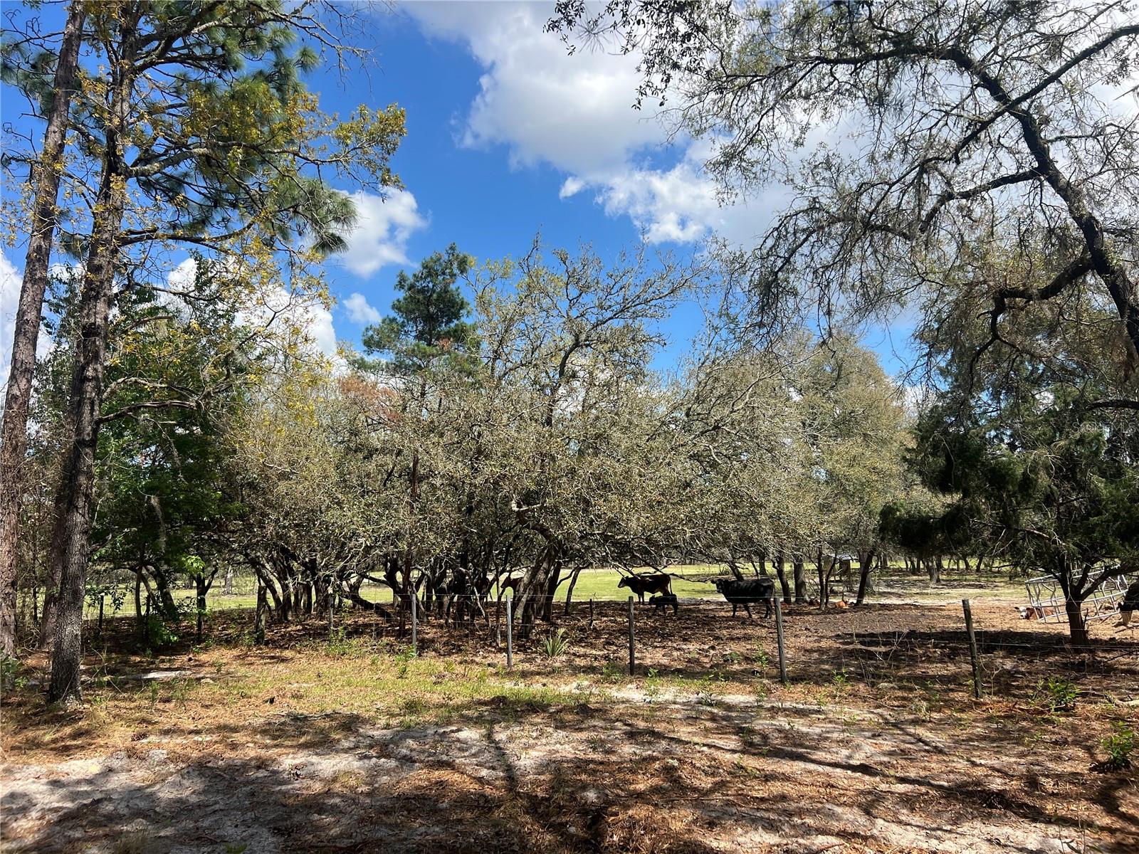 Image 8 of 29 For 16 136 Terrace