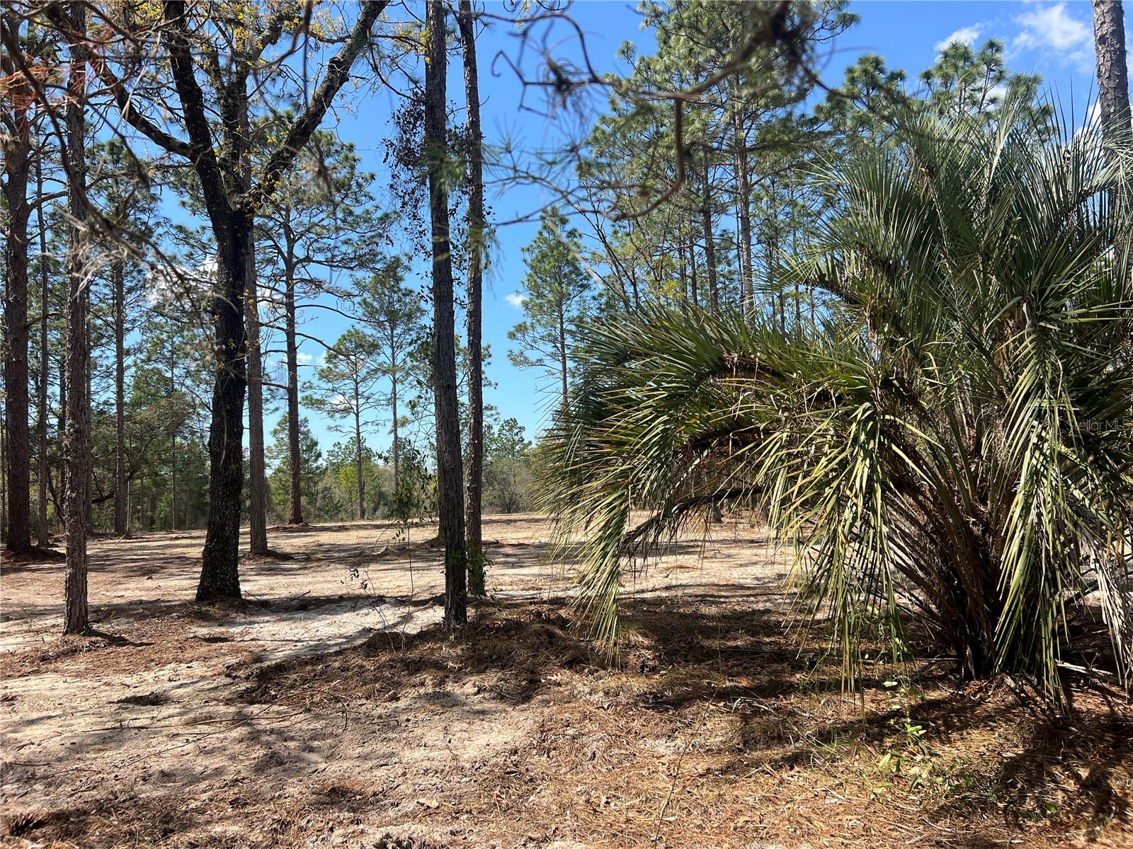 Image 9 of 29 For 16 136 Terrace