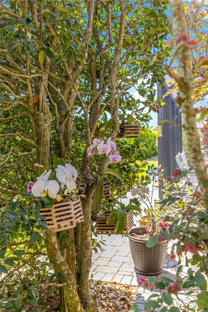 Image 34 of 37 For 8090 81st Loop