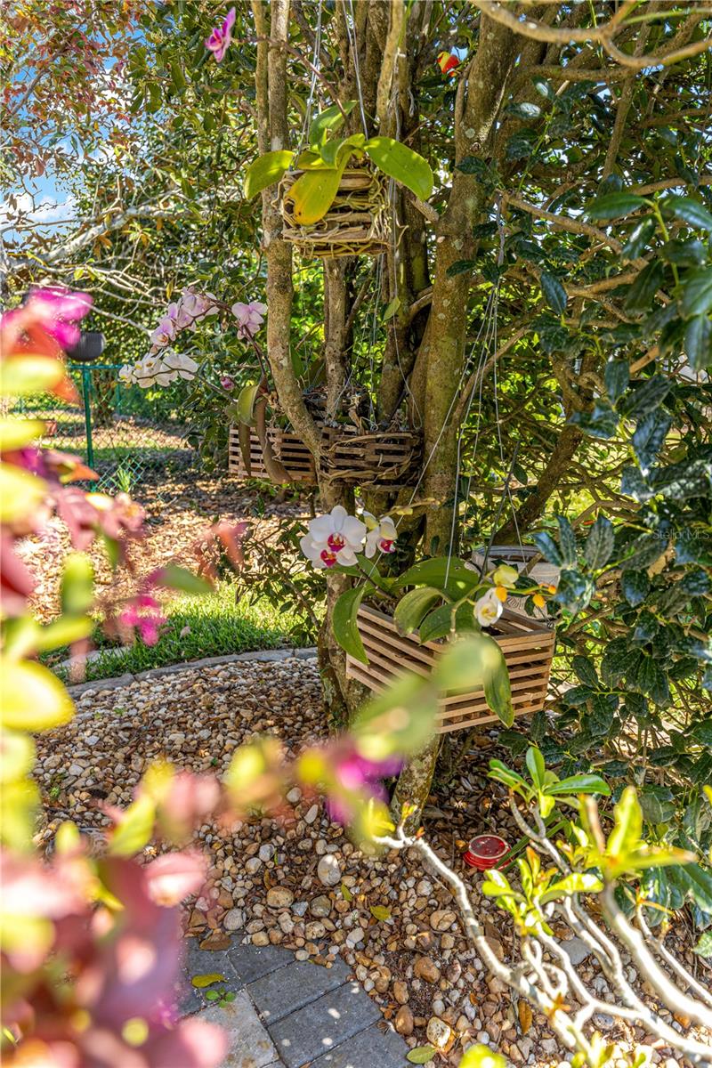 Image 35 of 37 For 8090 81st Loop