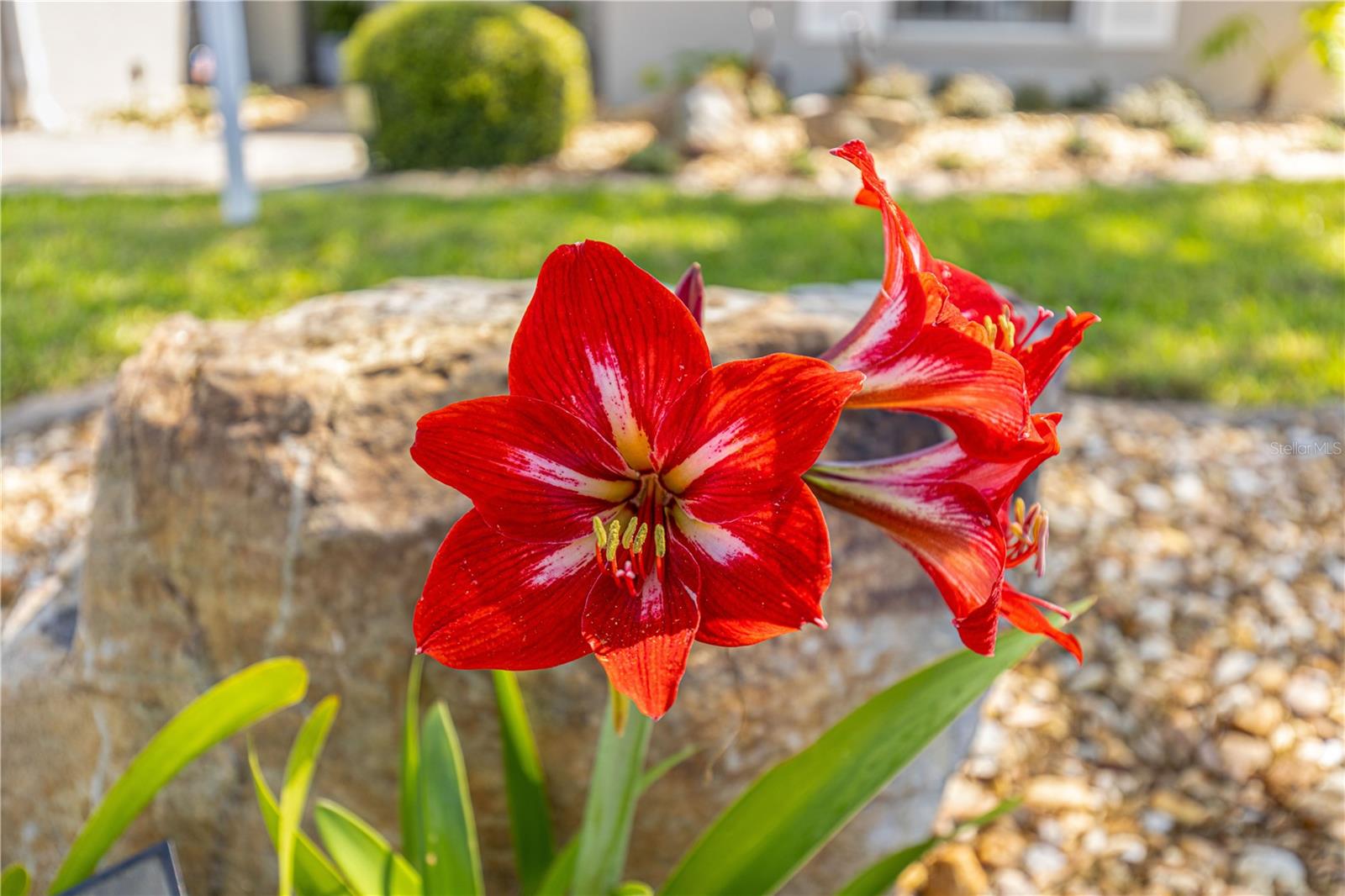 Image 36 of 37 For 8090 81st Loop