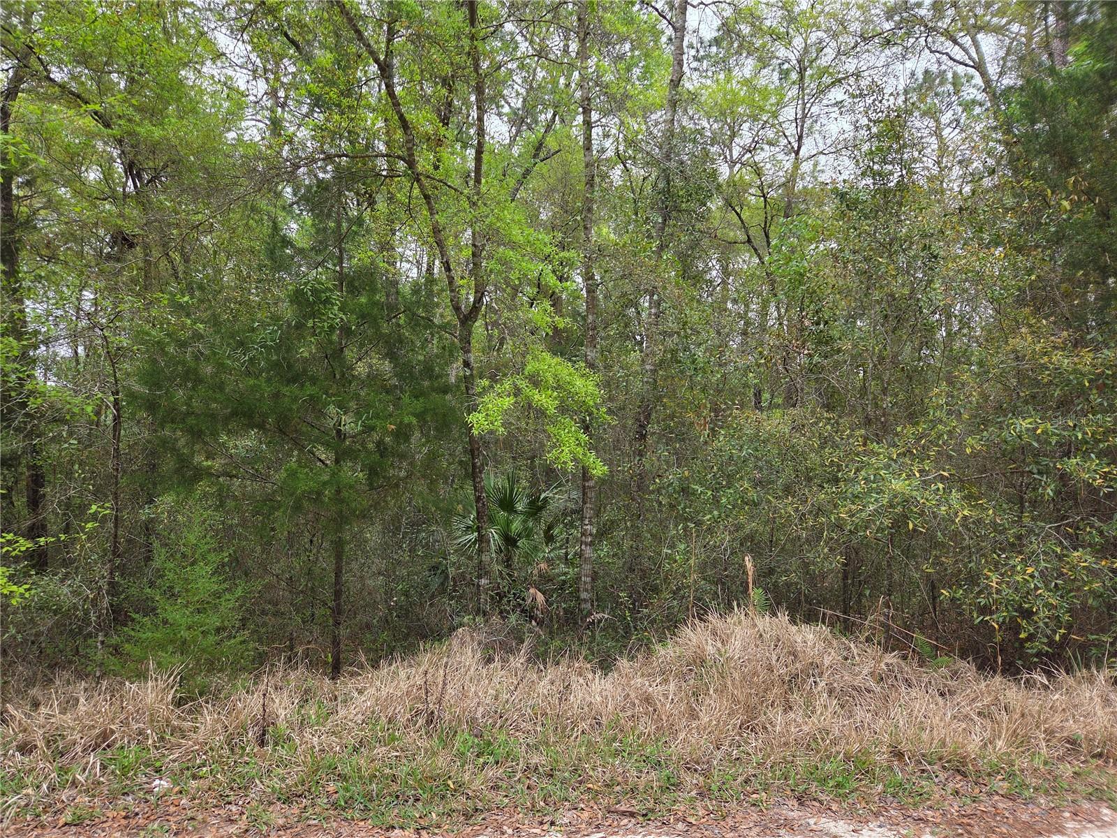 Image 2 of 9 For 0000 138th Terrace