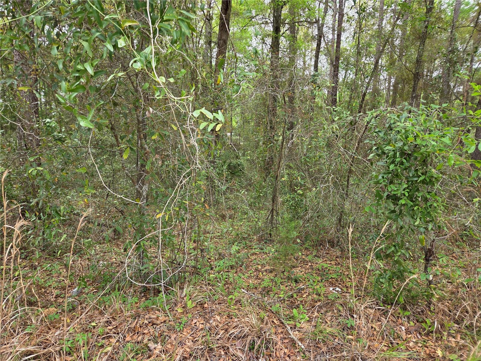 Image 3 of 9 For 0000 138th Terrace