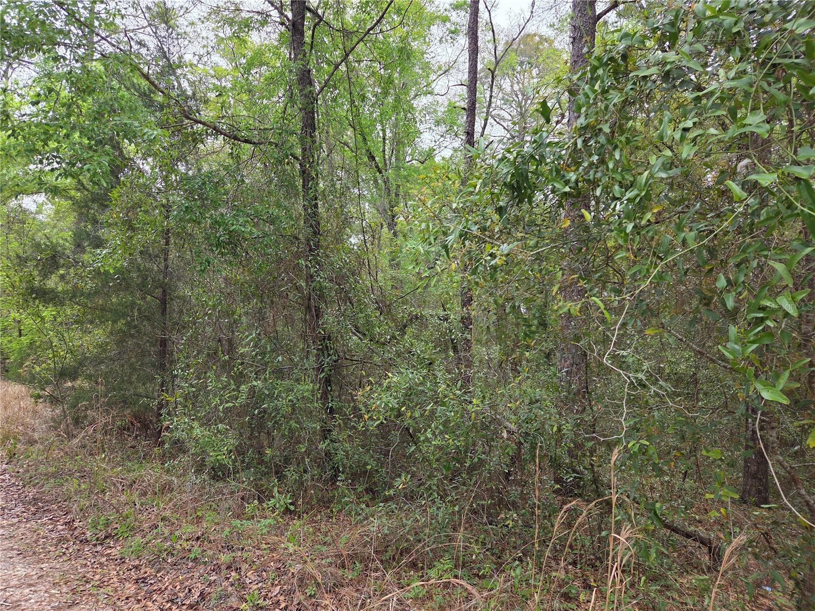 Image 4 of 9 For 0000 138th Terrace