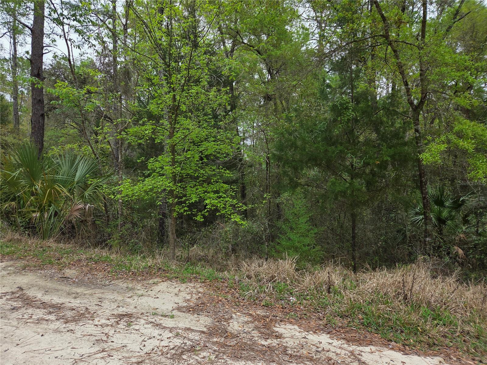 Image 5 of 9 For 0000 138th Terrace