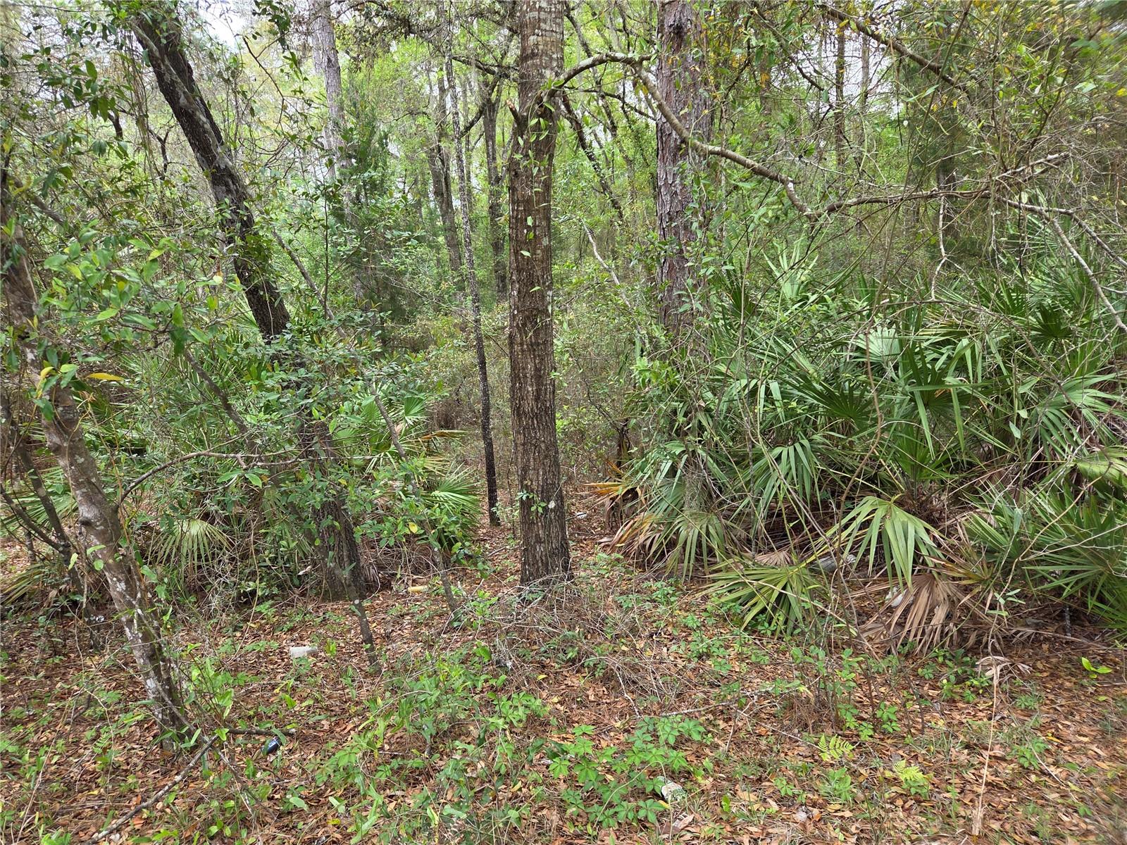 Image 6 of 9 For 0000 138th Terrace