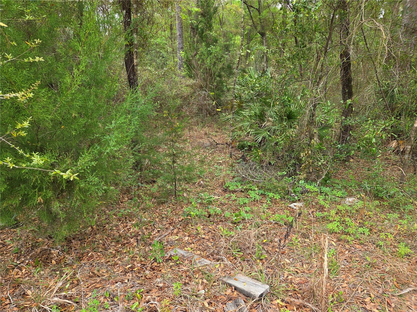 Image 7 of 9 For 0000 138th Terrace