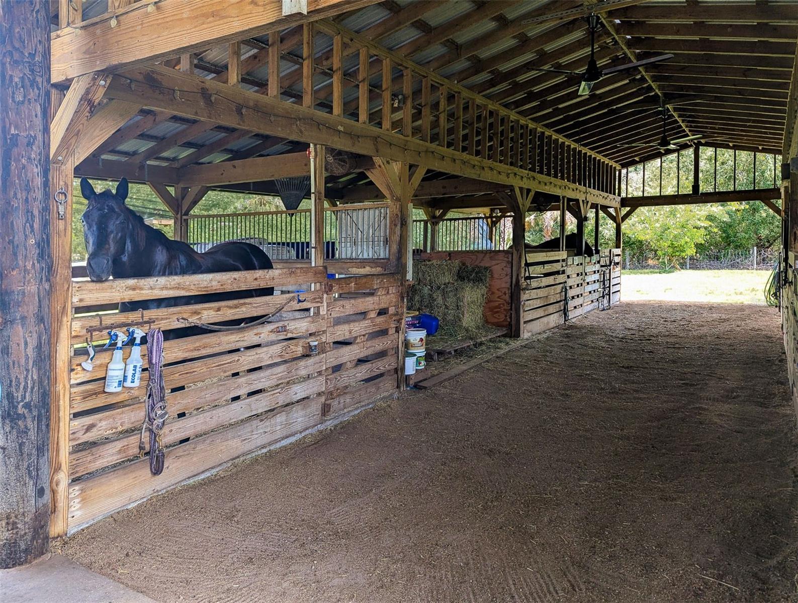 Image 38 of 51 For 11291 Deal Road