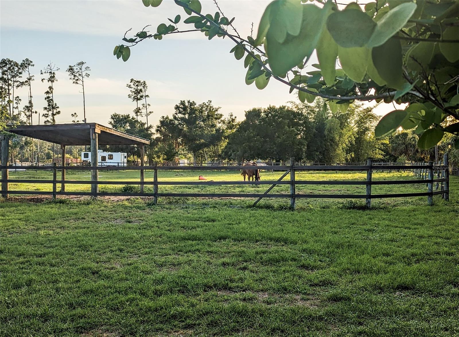 Image 43 of 51 For 11291 Deal Road