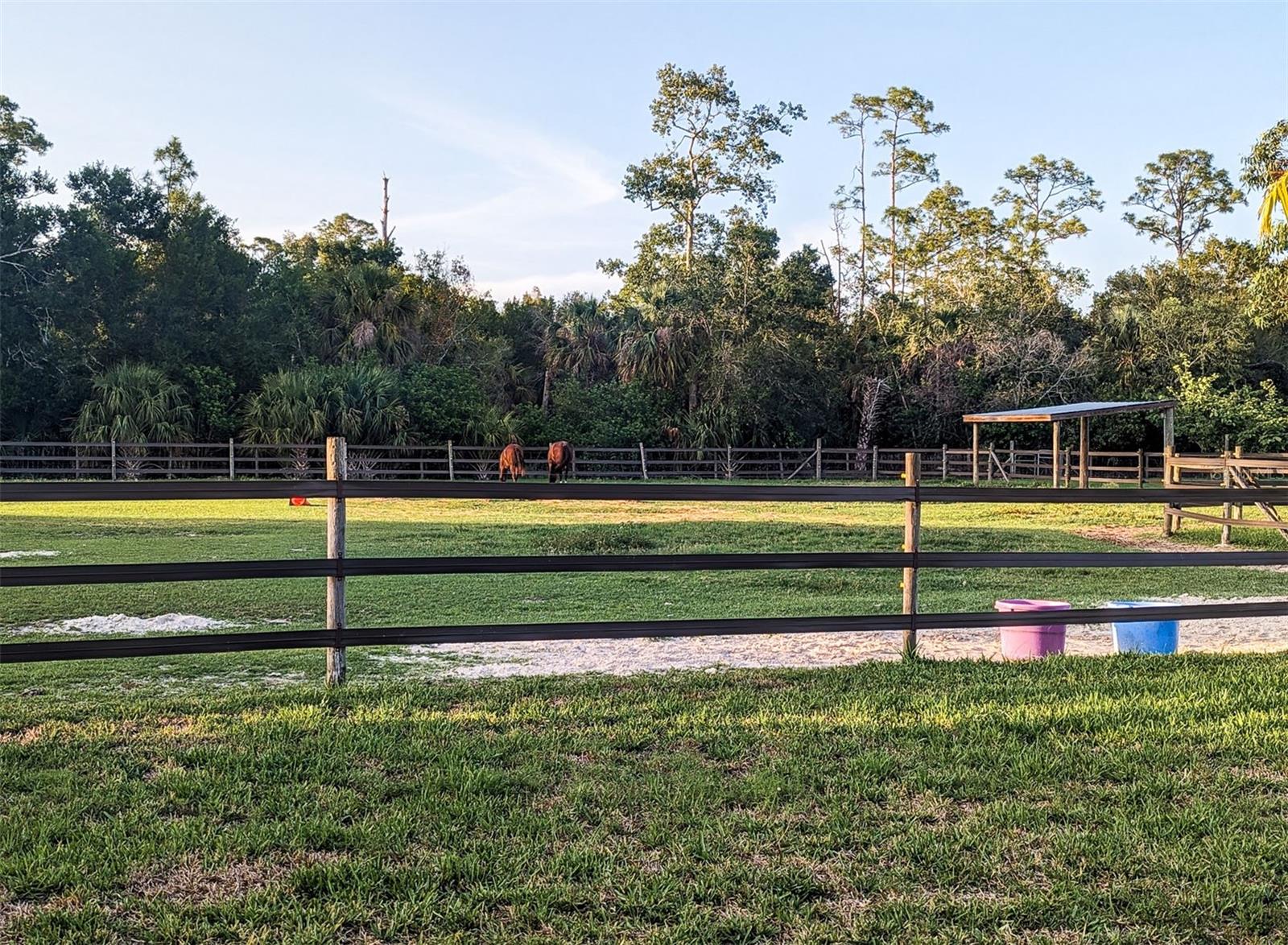 Image 44 of 51 For 11291 Deal Road