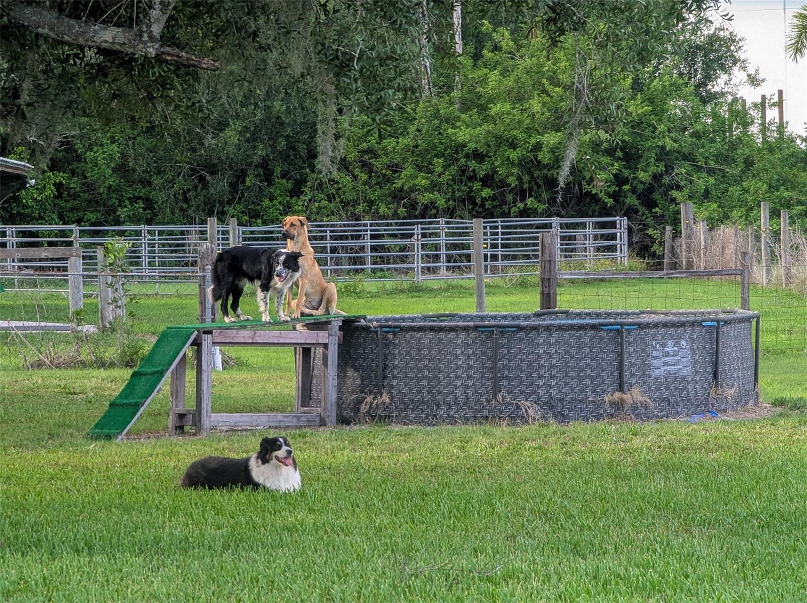 Image 45 of 51 For 11291 Deal Road