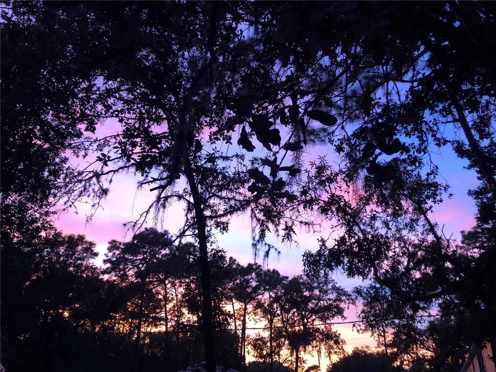 Image 62 of 75 For 24576 Falcon Avenue