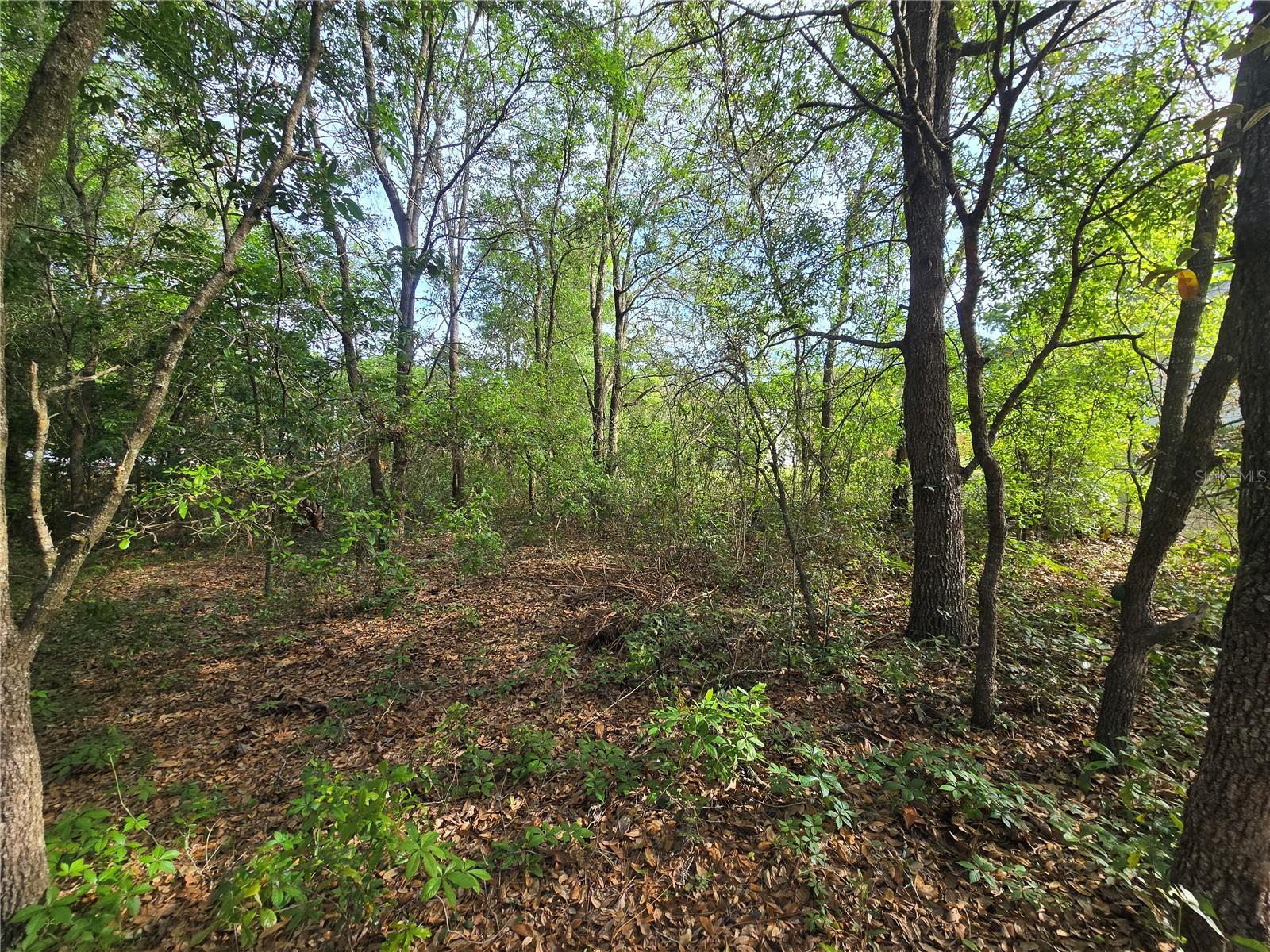 Image 11 of 11 For 6659 Grayson Street