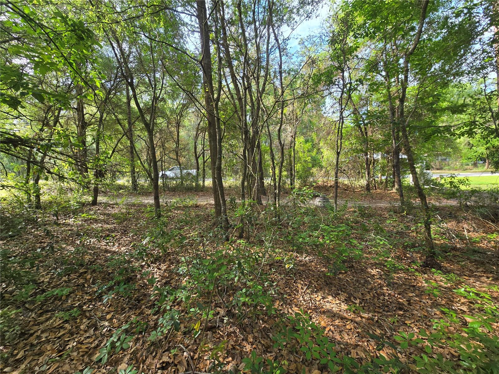 Image 4 of 11 For 6659 Grayson Street