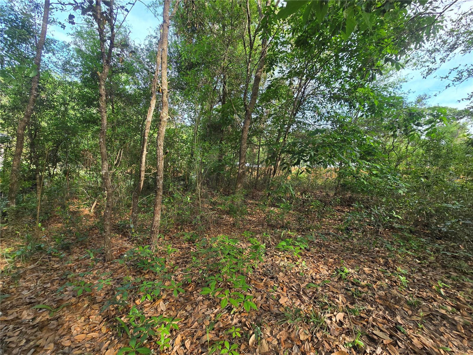 Image 7 of 11 For 6659 Grayson Street