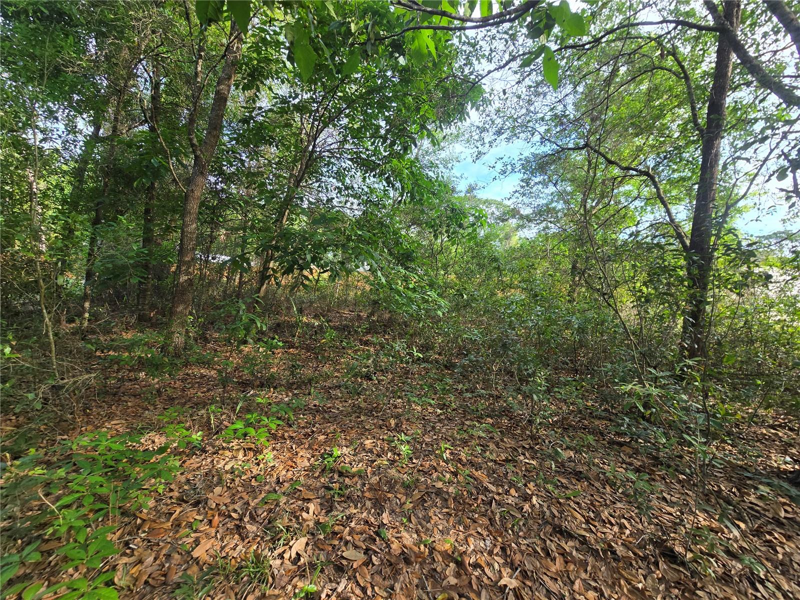 Image 8 of 11 For 6659 Grayson Street