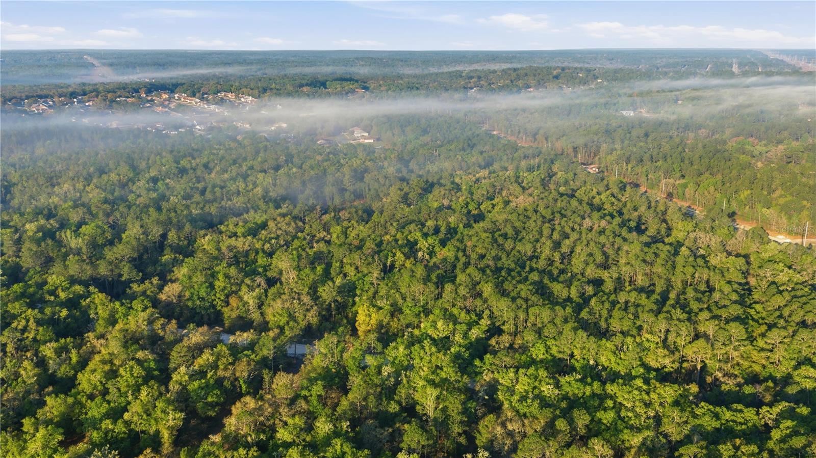 Image 11 of 18 For 6630 Treefarm Avenue