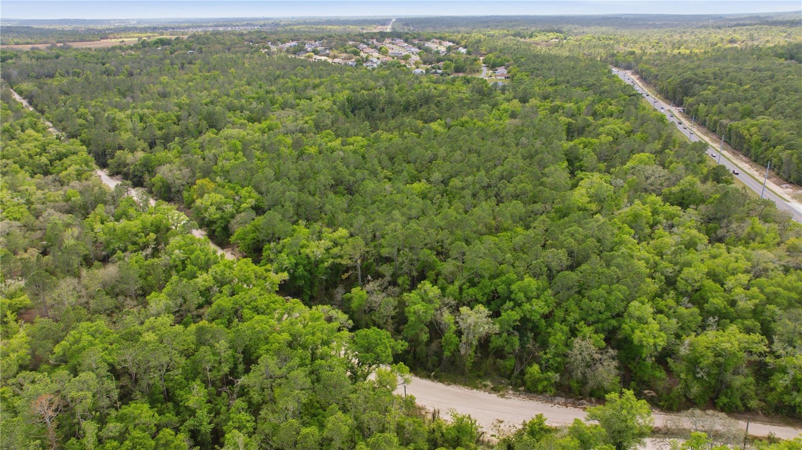 Image 5 of 18 For 6630 Treefarm Avenue