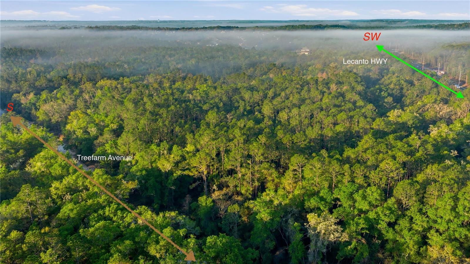 Image 8 of 18 For 6630 Treefarm Avenue