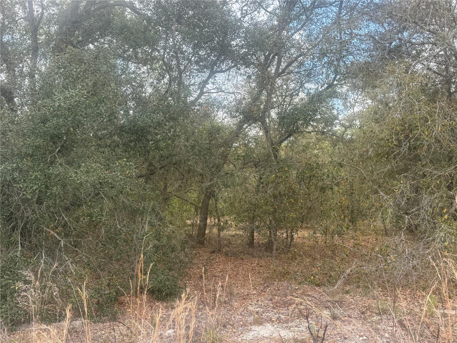 Details for Tbd 131st Terrace, DUNNELLON, FL 34431