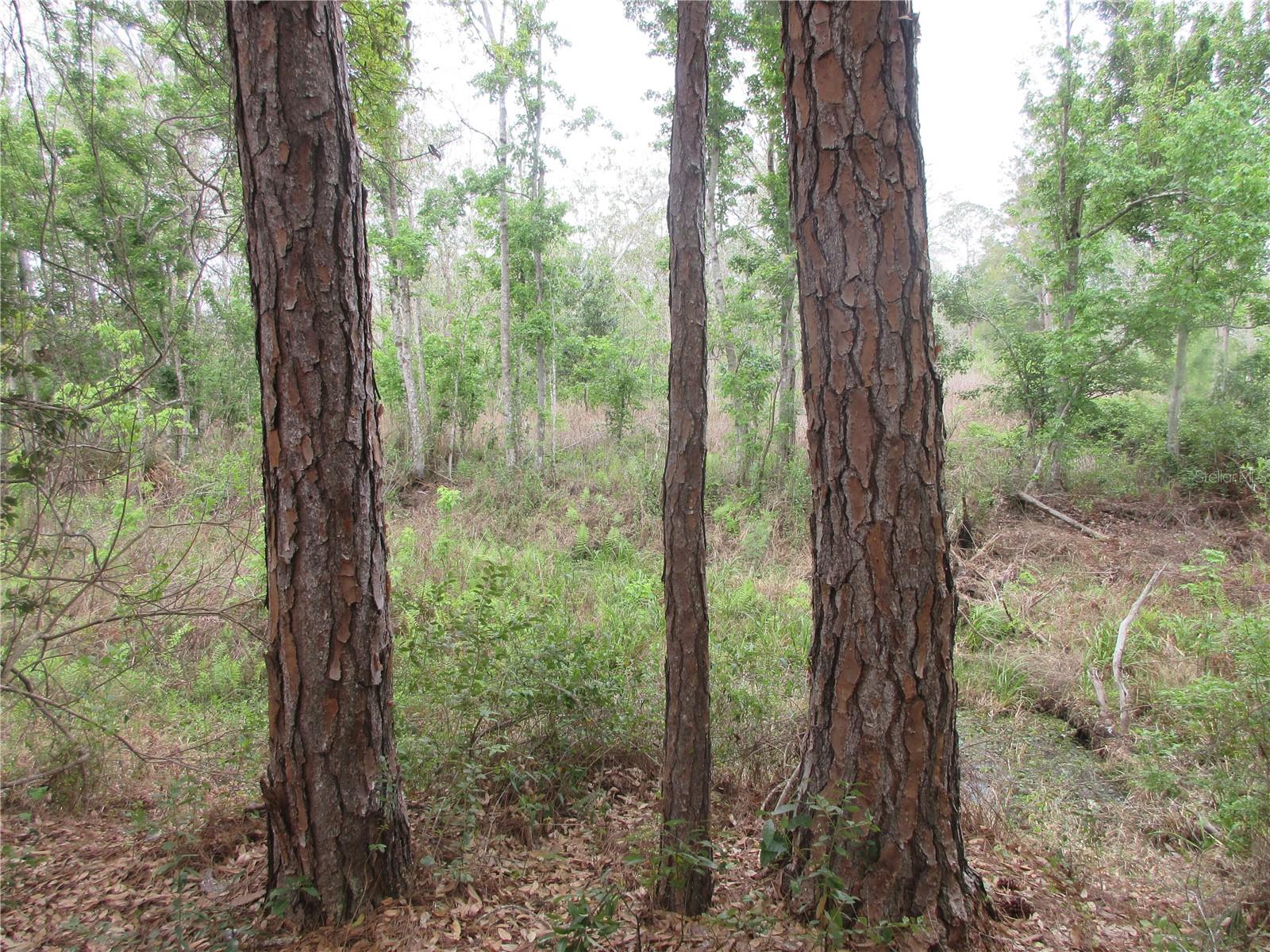 Image 10 of 76 For 5790 183rd Terrace