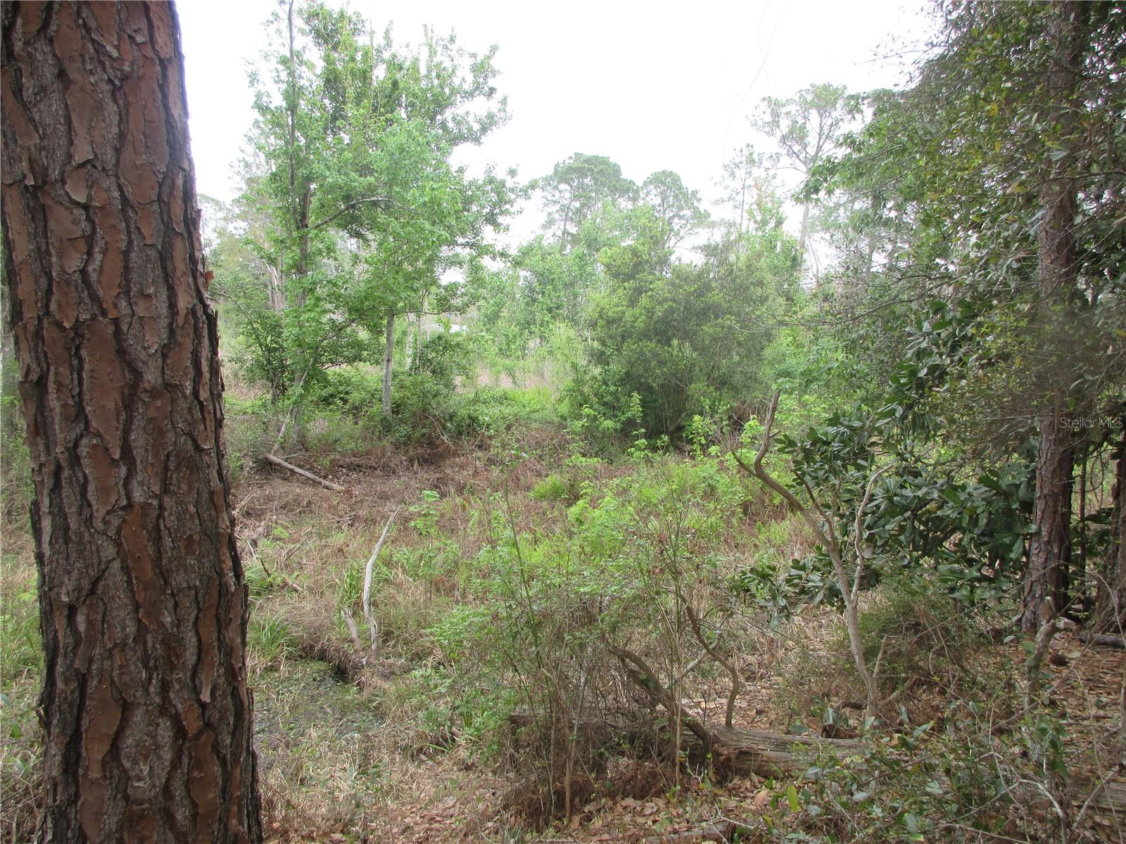 Image 11 of 76 For 5790 183rd Terrace