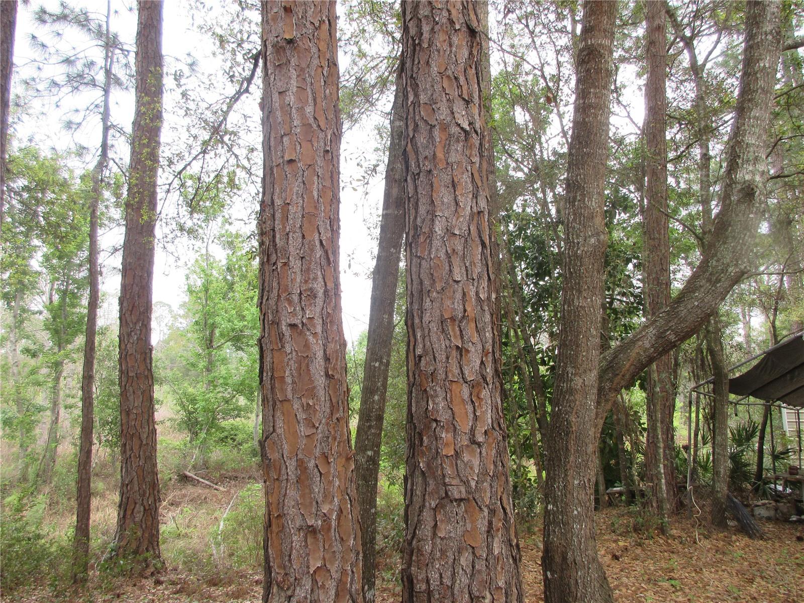 Image 9 of 76 For 5790 183rd Terrace