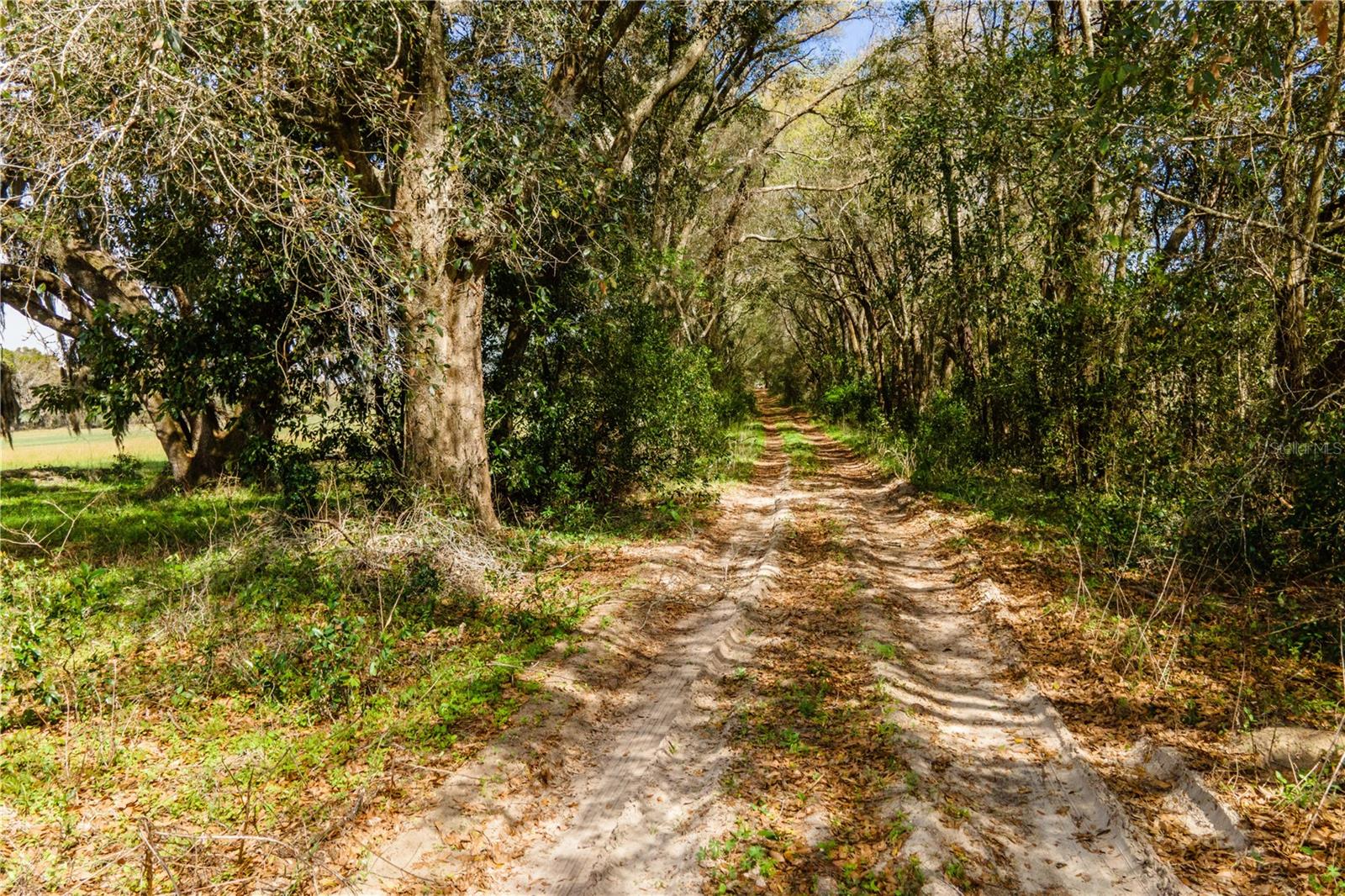 Details for Tbd 298 Street, NEWBERRY, FL 32669