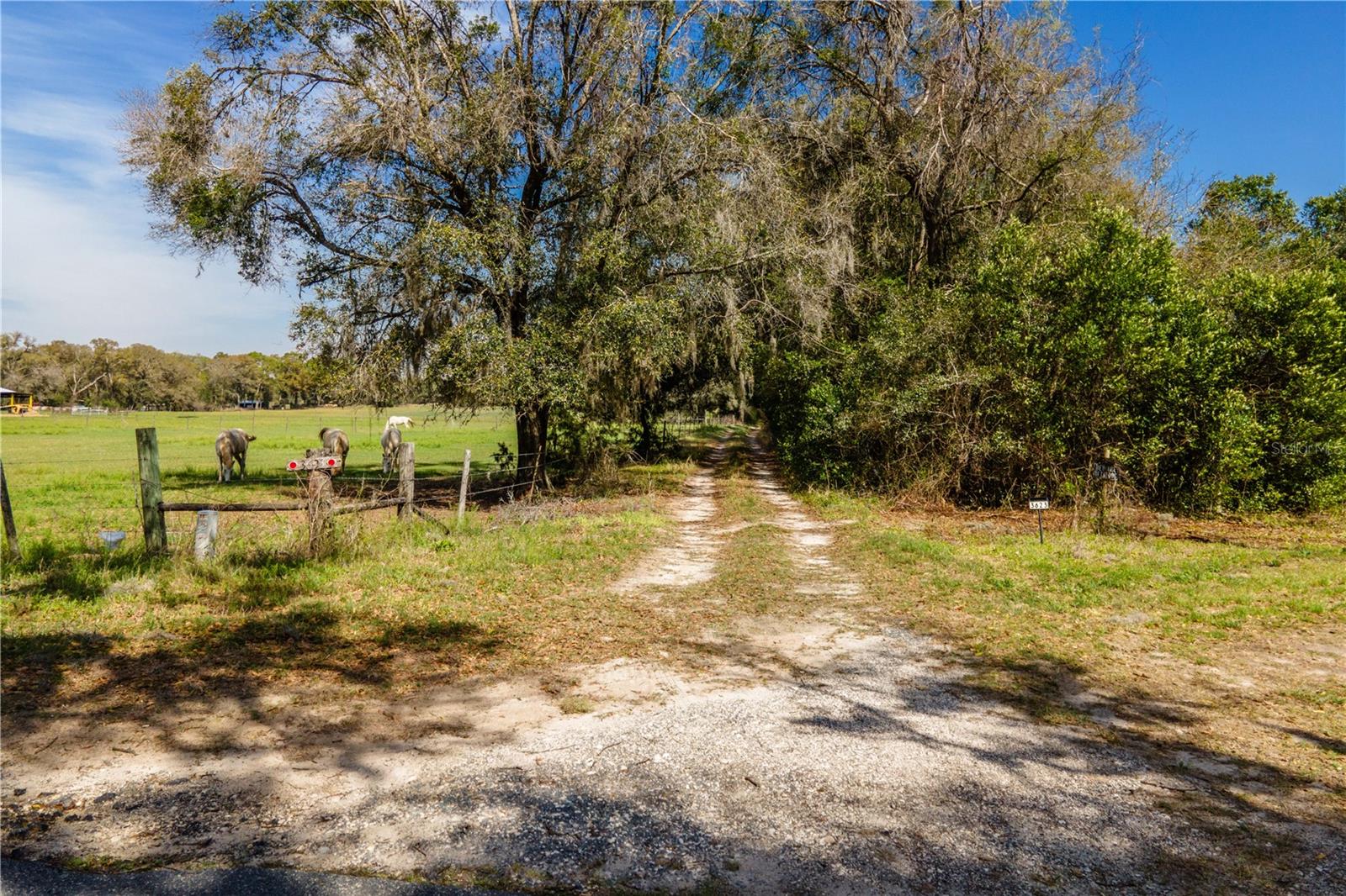 Image 4 of 18 For Tbd 298 Street