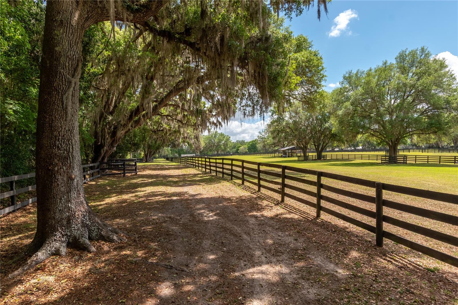 Listing photo id 65 for 14650 160th Avenue