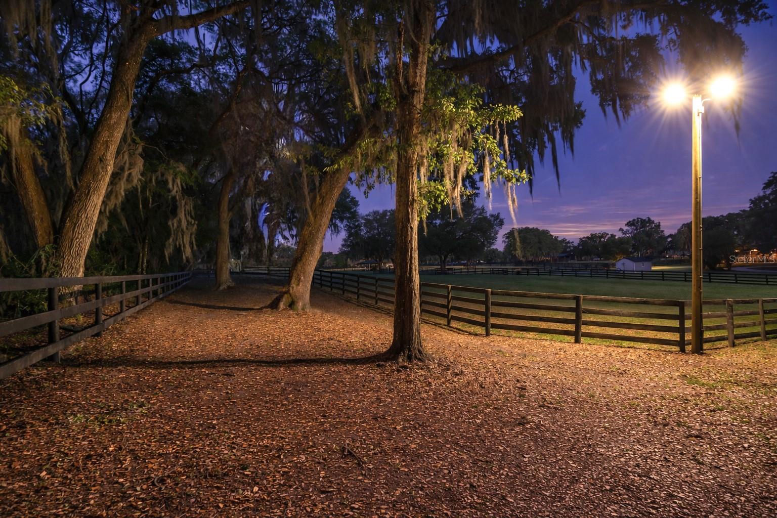 Listing photo id 6 for 14650 160th Avenue