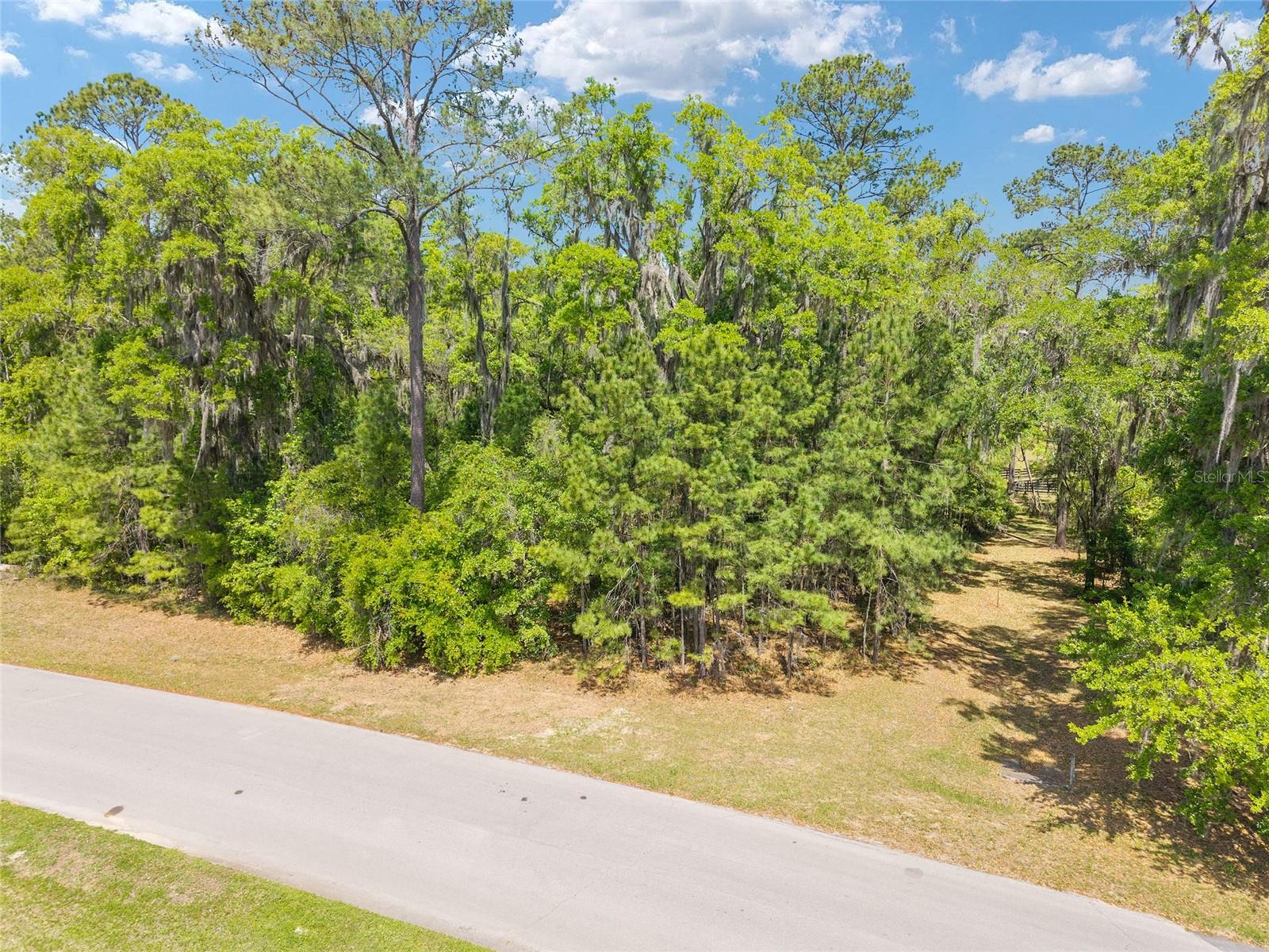 Image 12 of 24 For Tbd 144 Court Road