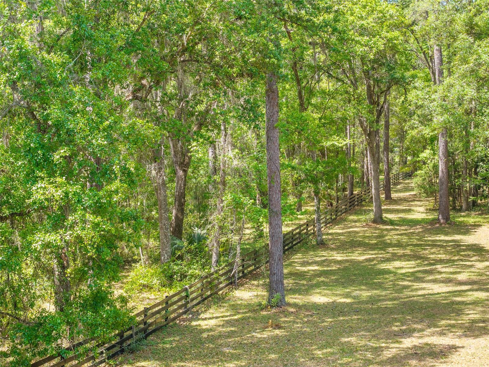 Image 19 of 24 For Tbd 144 Court Road