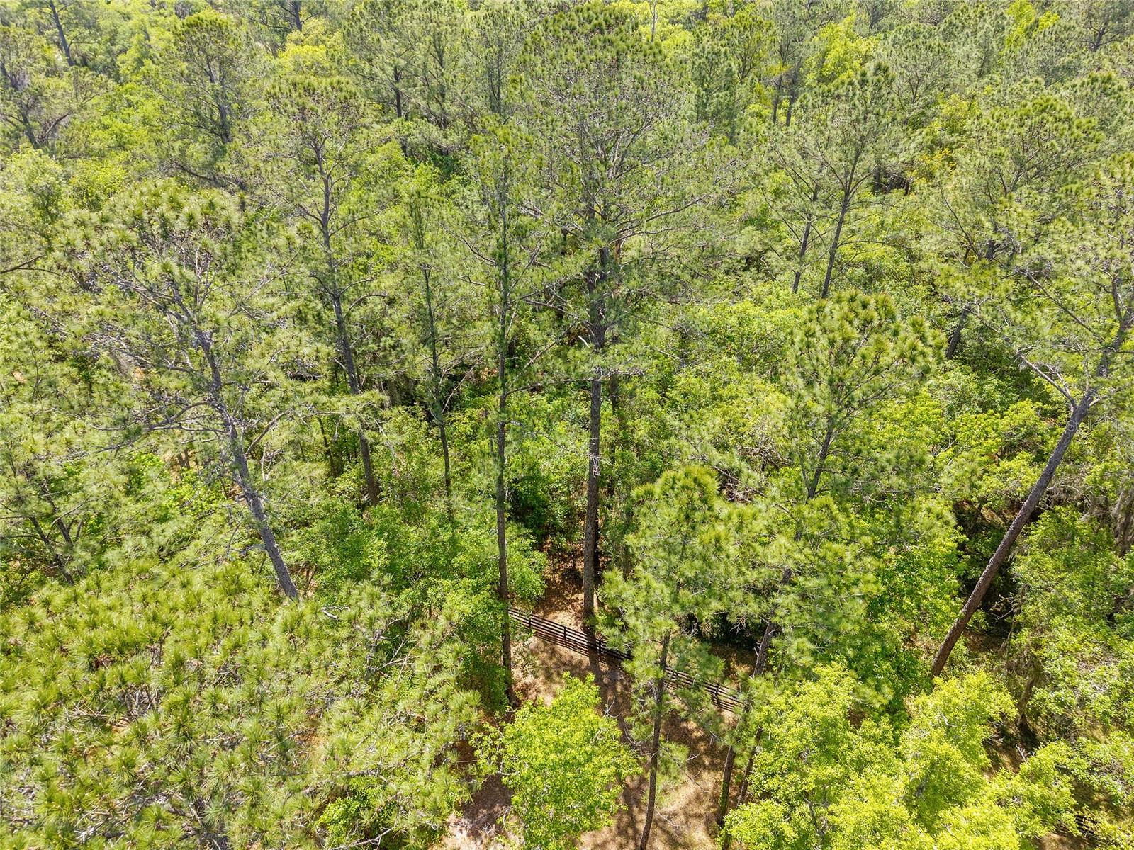 Image 21 of 24 For Tbd 144 Court Road