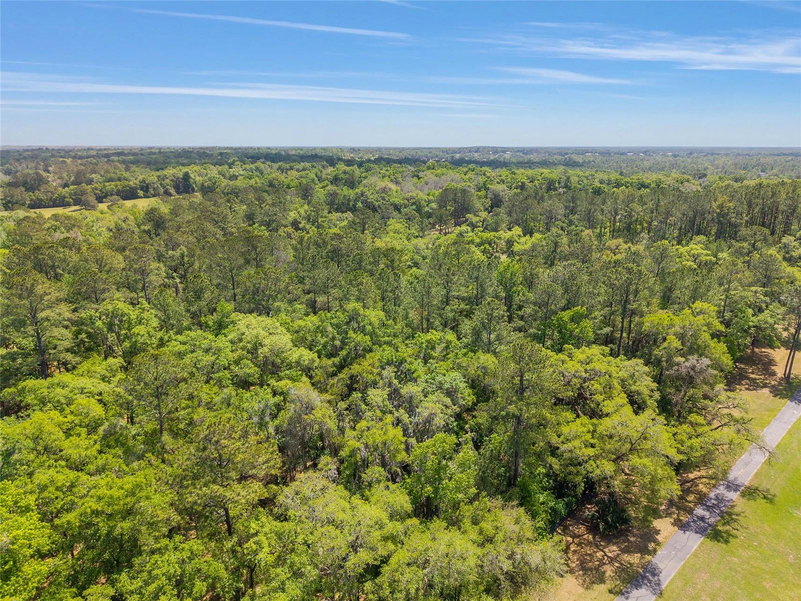 Image 22 of 24 For Tbd 144 Court Road