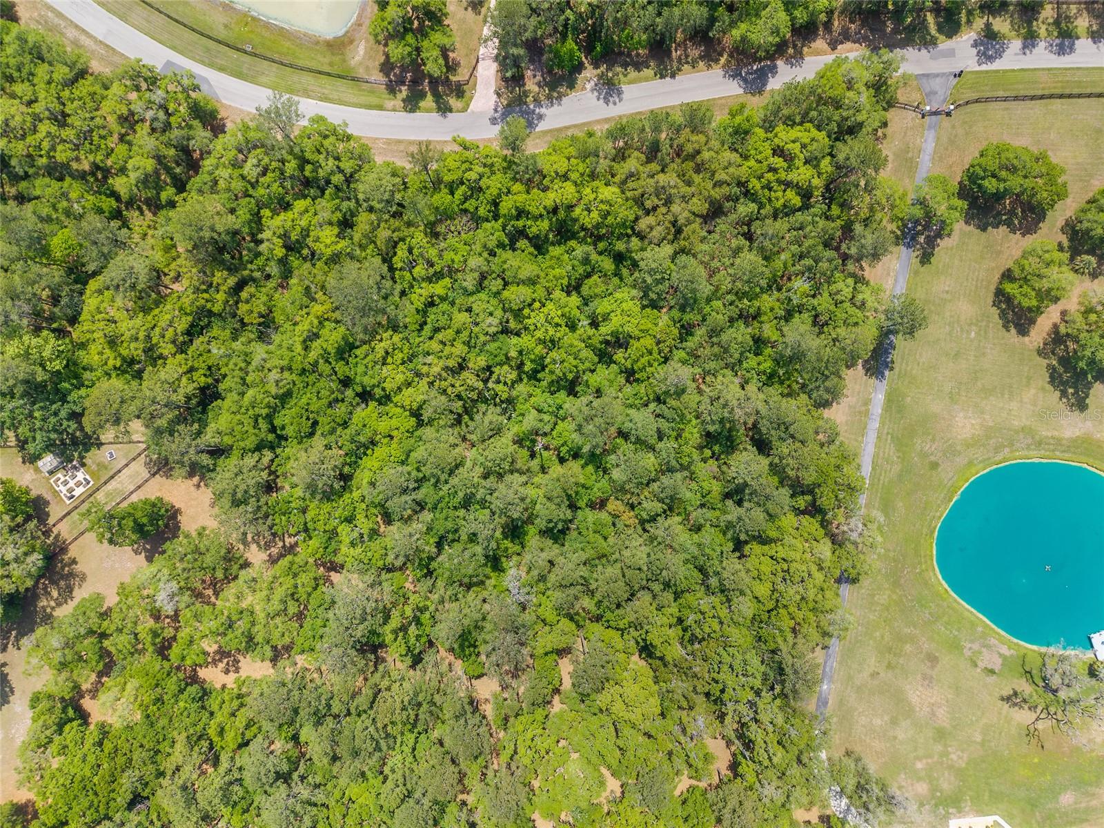 Image 23 of 24 For Tbd 144 Court Road