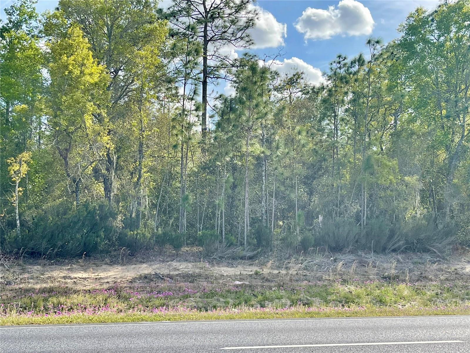 Details for Tbd Highway 27 Alt, WILLISTON, FL 32696
