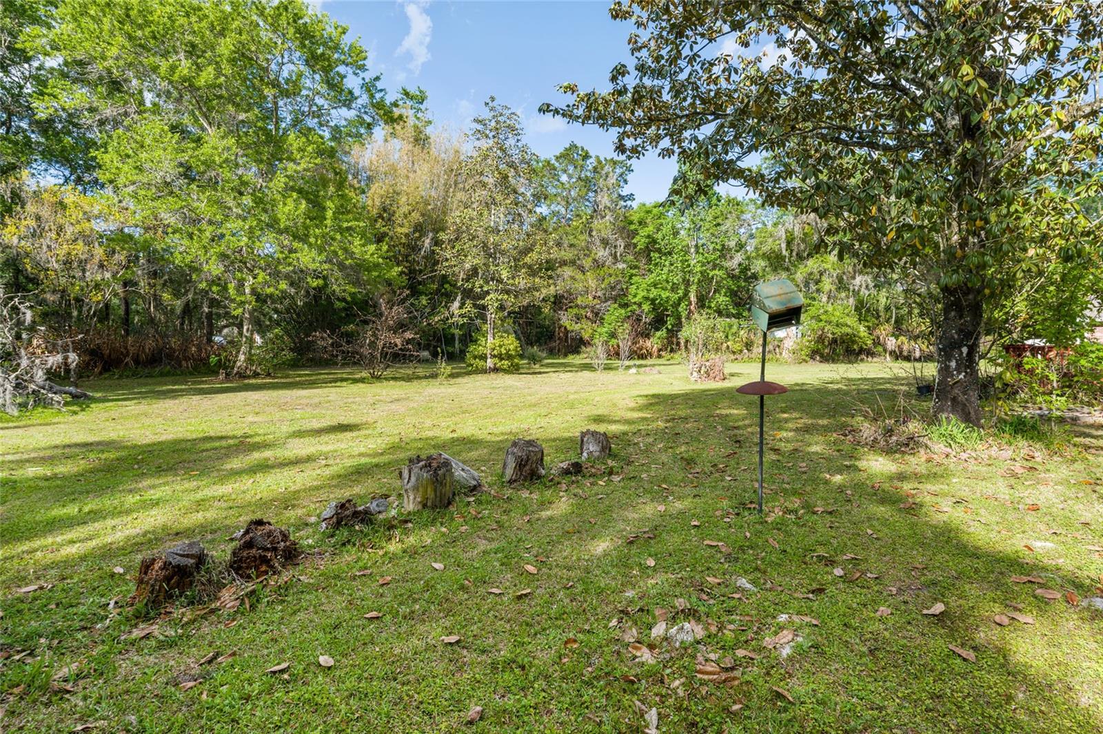 Listing photo id 31 for 1008 Mildred Avenue