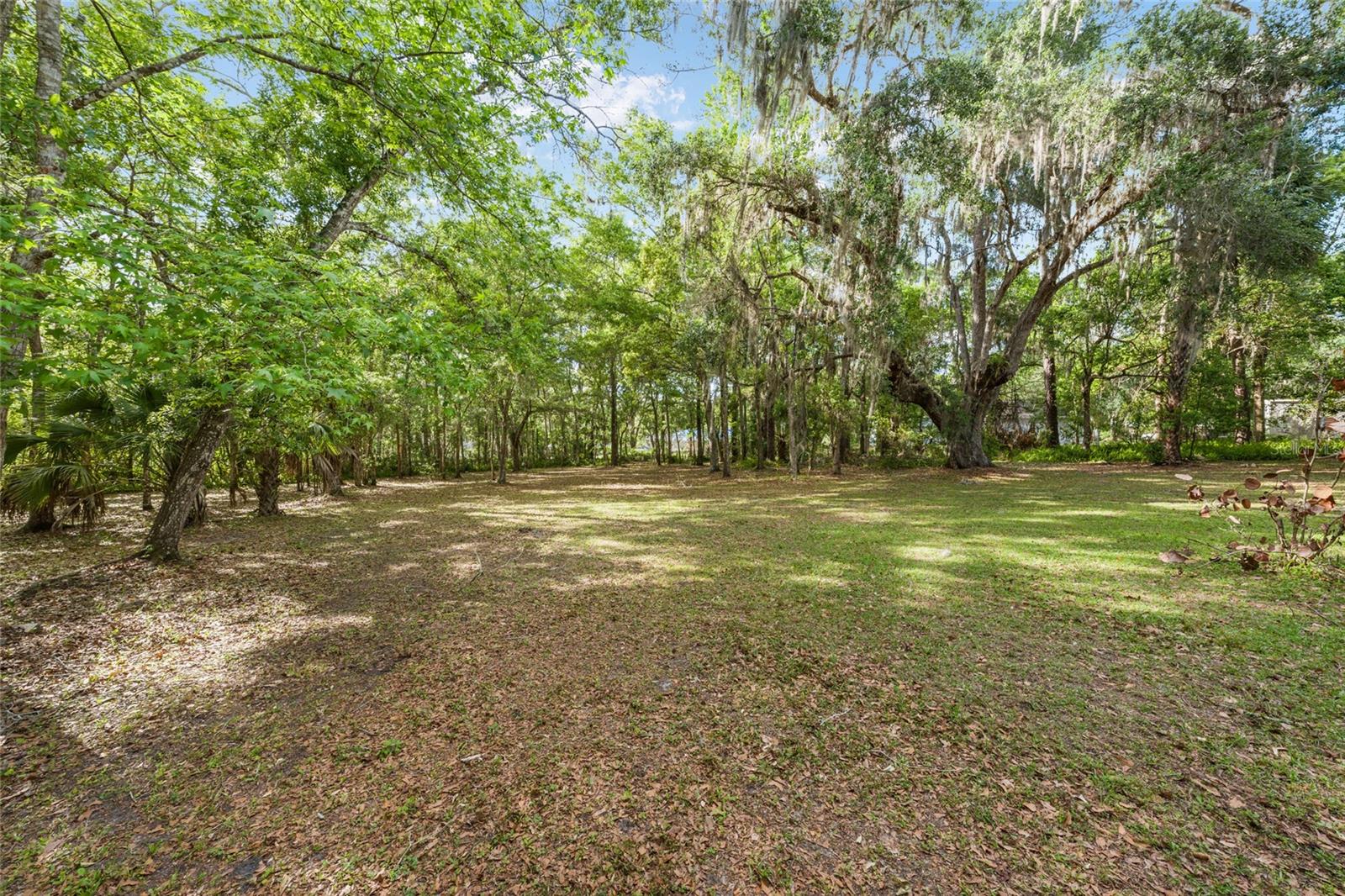 Listing photo id 33 for 1008 Mildred Avenue