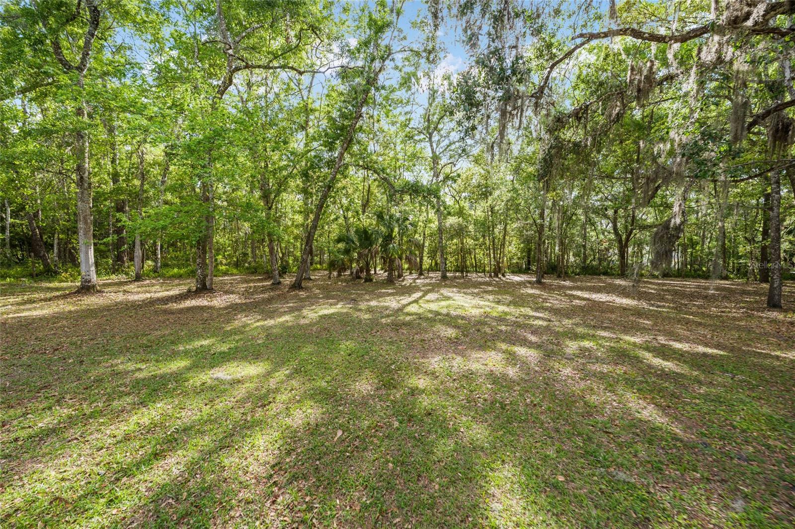 Listing photo id 34 for 1008 Mildred Avenue