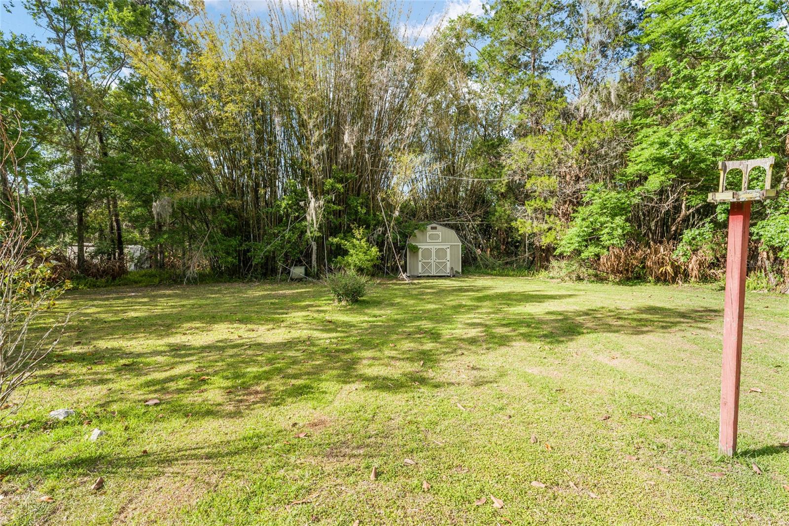 Listing photo id 35 for 1008 Mildred Avenue