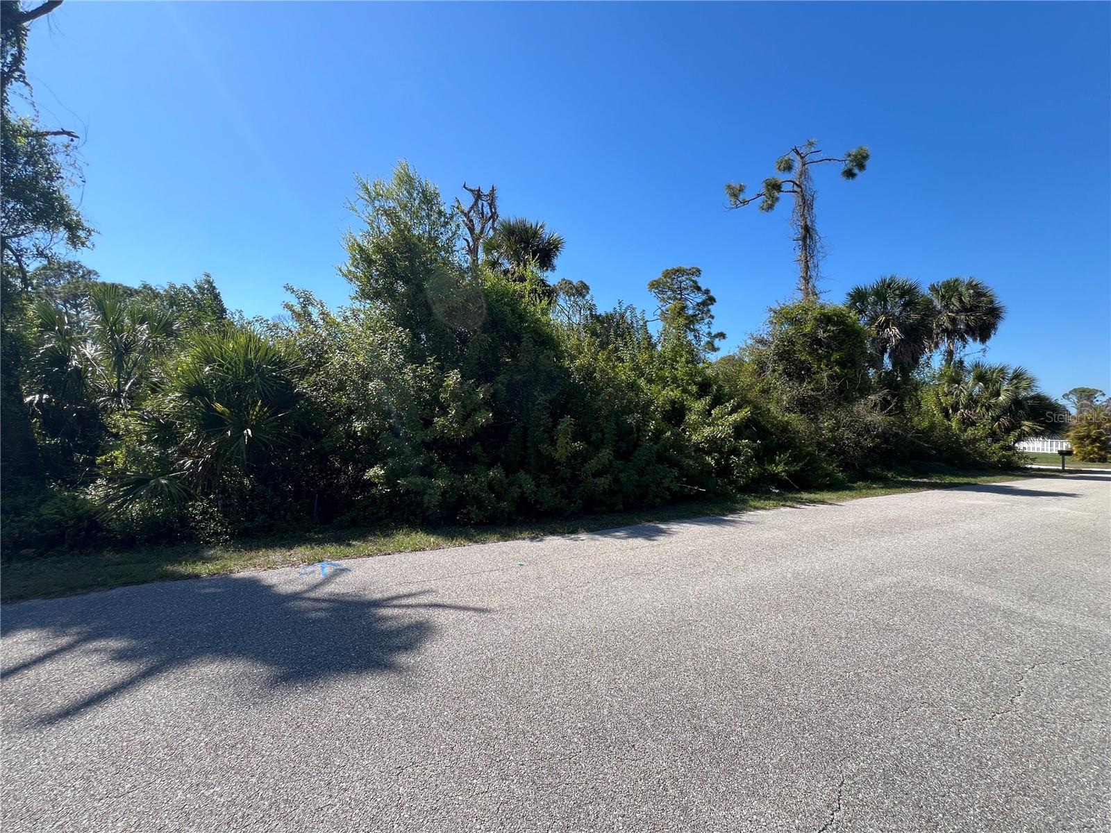 Image 8 of 8 For 746 Palmetto Street