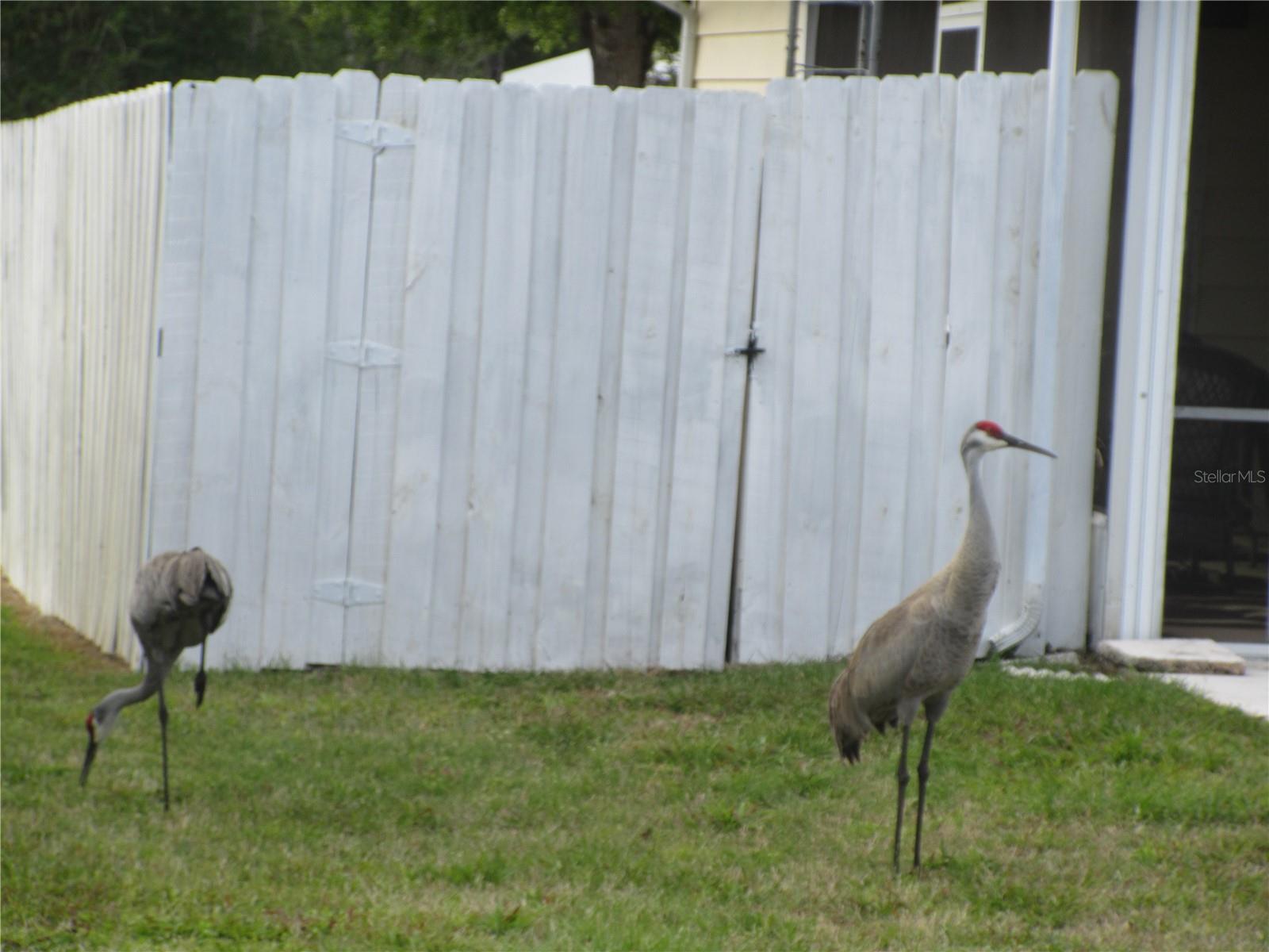 Image 69 of 100 For 2380 174th Court