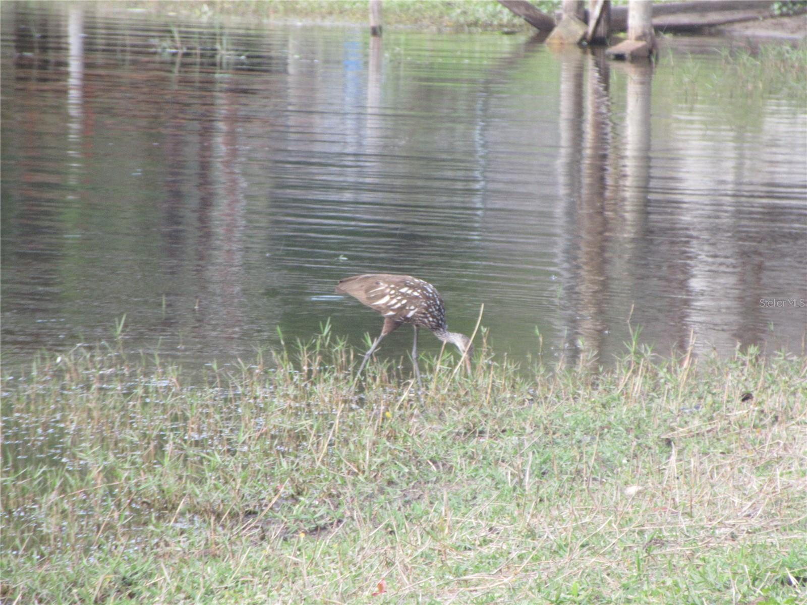 Image 77 of 100 For 2380 174th Court