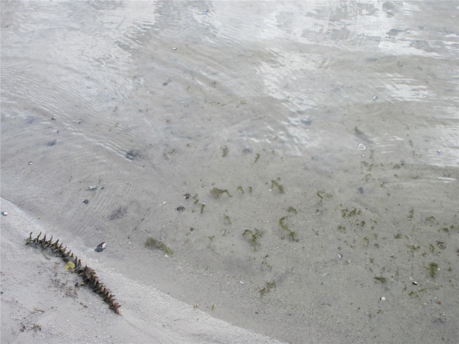 Image 80 of 100 For 2380 174th Court