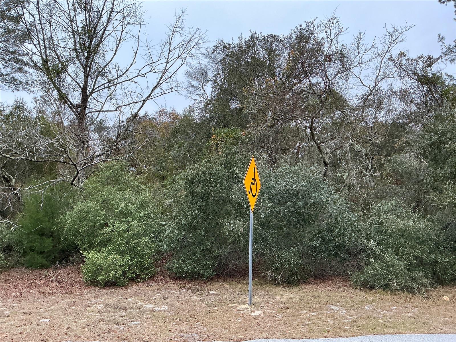 Details for  137th Loop , OCALA, FL 34473