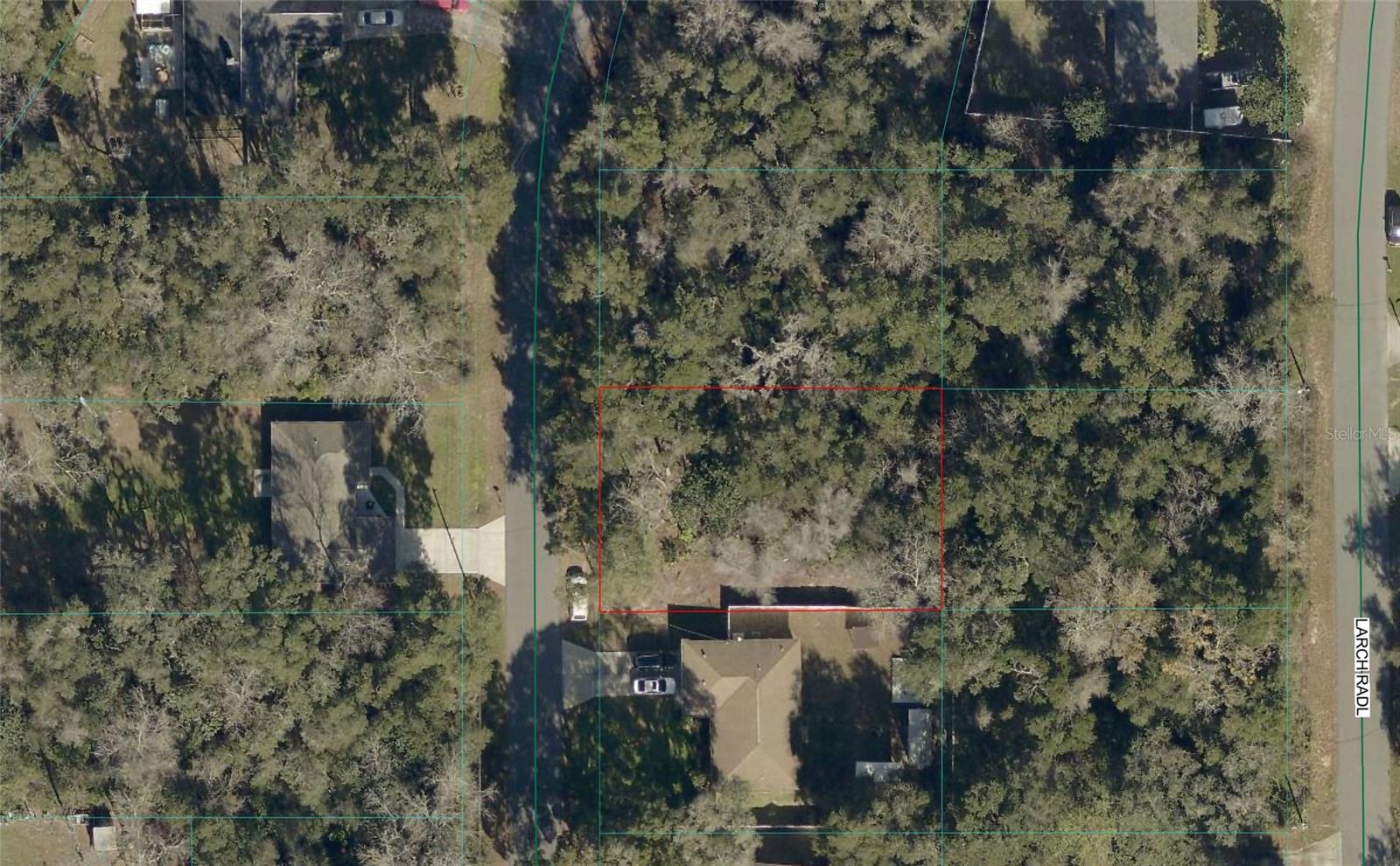 Details for Tbd Larch Course, OCALA, FL 34480