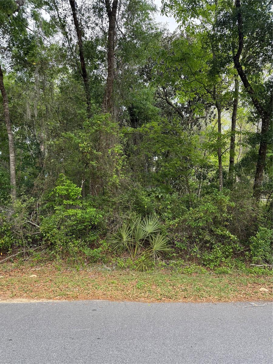 Image 5 of 10 For Tbd Larch Course