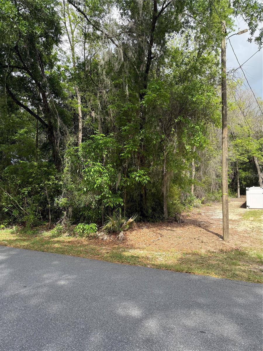 Image 7 of 10 For Tbd Larch Course